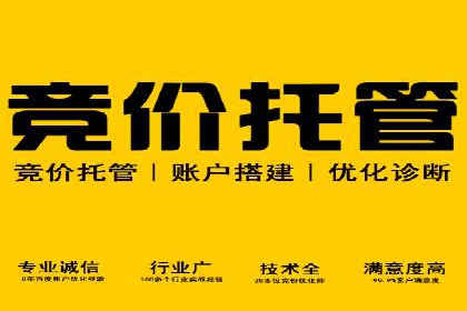百度广告推广的创意策略与效果分析
